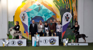 Jubilejná výstava psov, Pezinok (CAC), 10.03.2018 Posudzovatelia / Judges: Iveta Vojteková (SK) a Roberto Schill (RO)